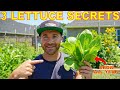 Growing Lettuce: You