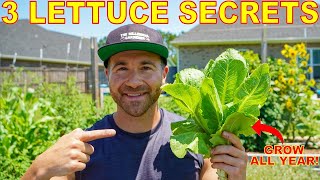 Growing Lettuce: You