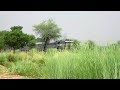 Beautiful Entry from Greenery : Mathura - Jaipur Passenger towards Khatipura Station