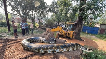 New JCB 3dx Eco Loading Mud Tractor