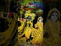 अंधेरों की नगरी से 🙏| Radha Krishna Bhajan | दिल छू लेने वाला भजन | #radhakrishn #krishn #viralreel