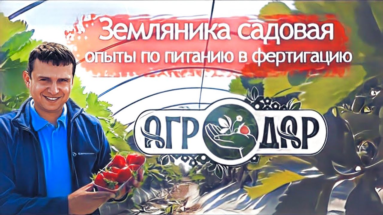 Агродар Удобрение Купить
