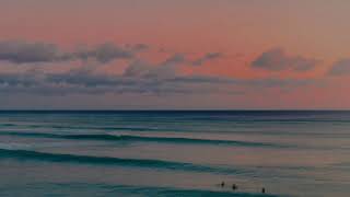 Morgan Wallen-Miami ft (Lil Wayne & Rick Ross) Lyrics