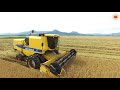 Colheita Arroz Irrigado New Holland TC 5090 Video 4K