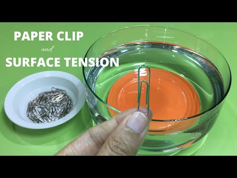 Make a Paperclip Float | Floating Paperclip and Surface Tension  | Paperclip on Water Experiment |