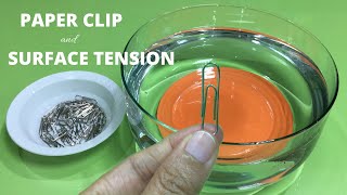 Make a Paperclip Float | Floating Paperclip and Surface Tension  | Paperclip on Water Experiment |