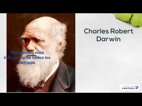 Vídeo: Darwin No Dijo Que Los Humanos Descienden De Los Monos, ¡Dios Esté Contigo! - Vista Alternativa