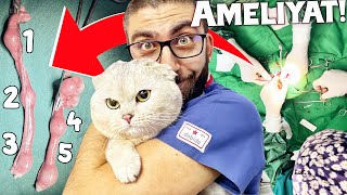 KEDİ GEBE ÇIKTI! + ACİL VAKA GELDİ (en garip video)