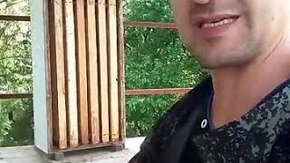 видео: 6 рамочный улей , преимущество √5 картинка: 6 рамочный улей , преимущество √5