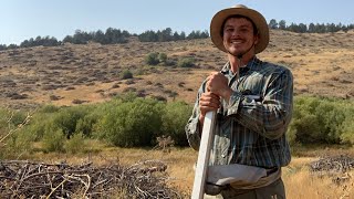 Resumes and Interviews for a First Summer Field Job in Science (Environmental and Conservation)
