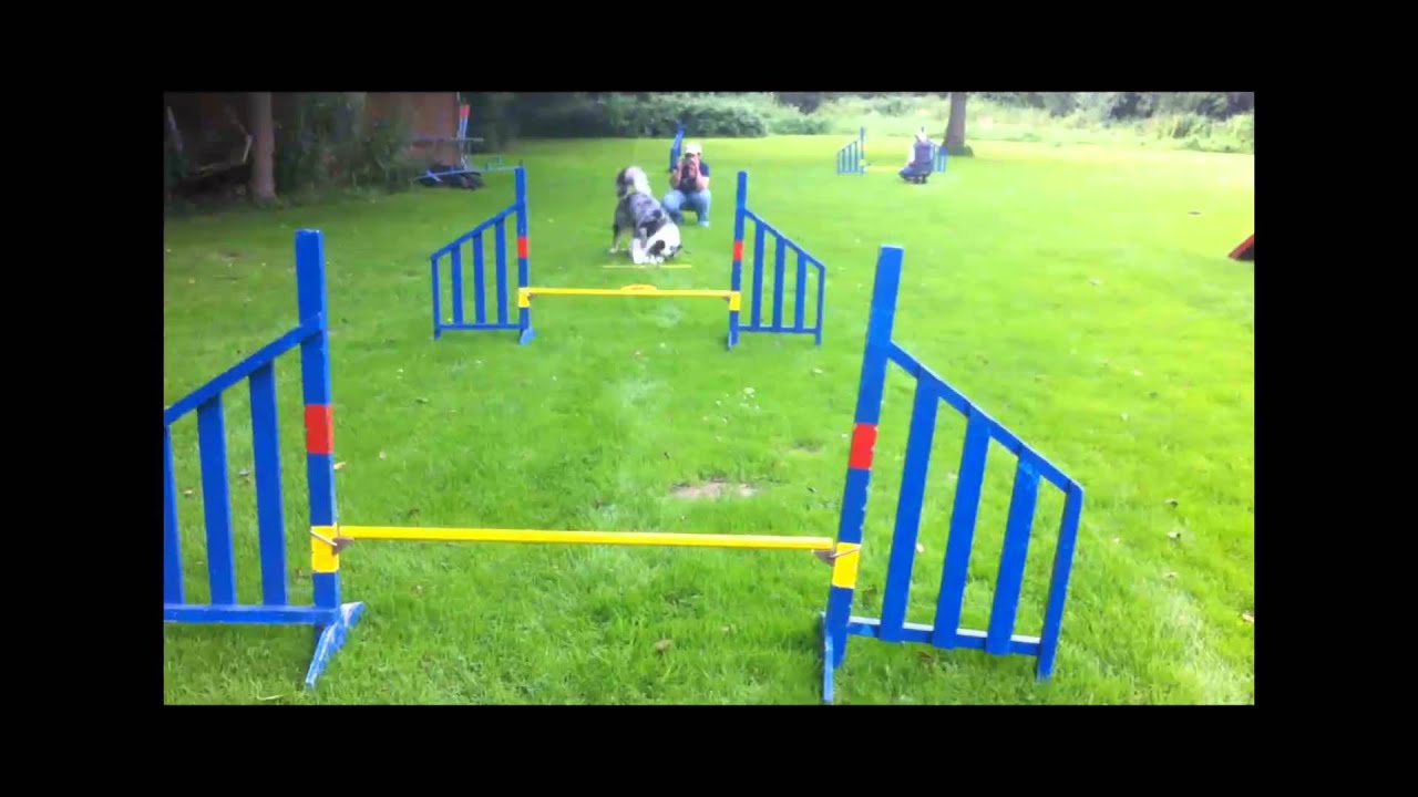 Scent Hurdle Racing YouTube