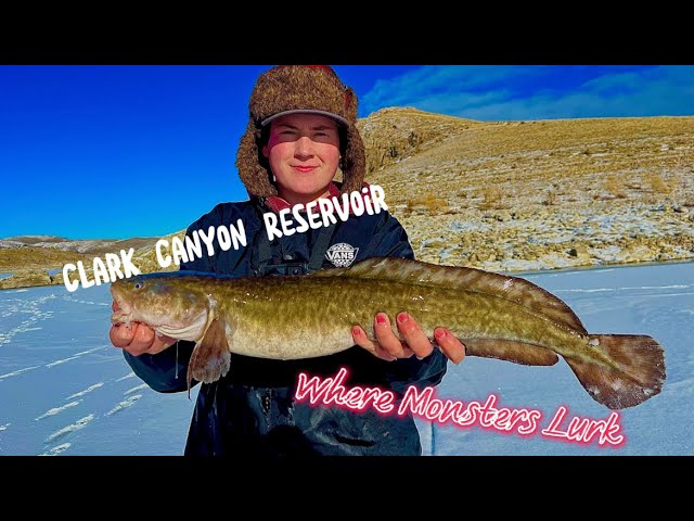 Hunting For Burbot…(We Caught Only 20+ Inch Fish) at Clark Canyon