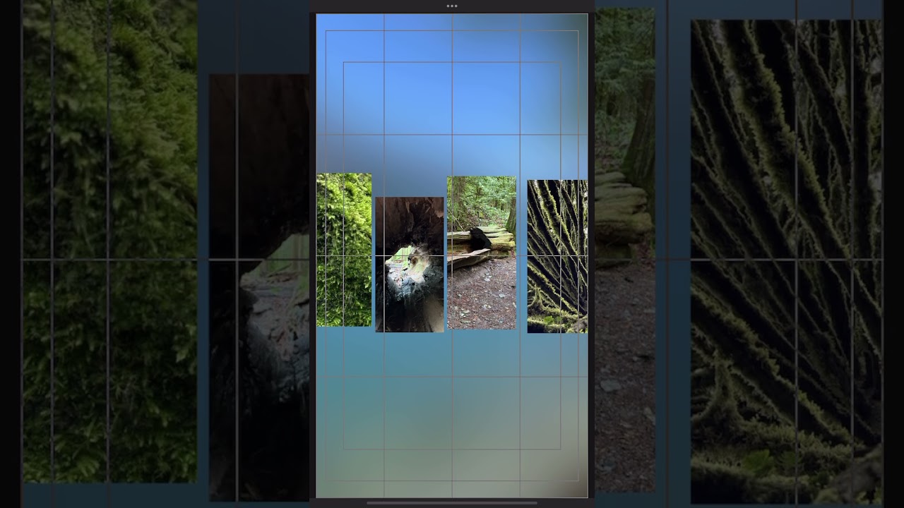 Have you tried our new Grids & Guides feature in LumaFusion 5.0?