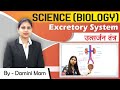 Science biology  excretory system     by damini maam