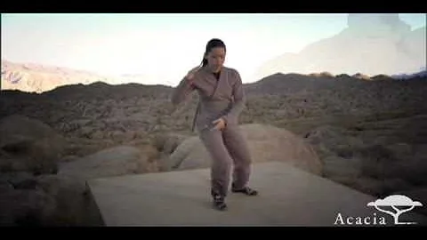 Tai Chi Basics