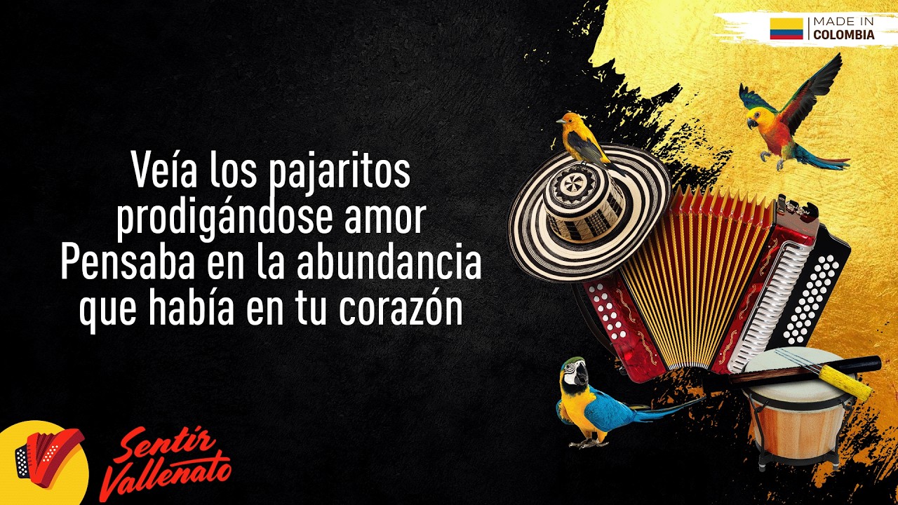 No Pude Olvidarte, Binomio De Oro De América, Video Letra - Sentir Vallenato