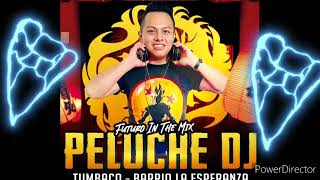 Peluche D.J y Poder mix Tamba 🎵⚡️🎵 Futuro In The Mix
