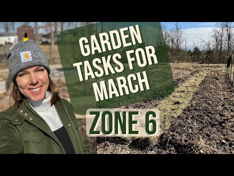 What To Do in the Garden in March: Zone 6