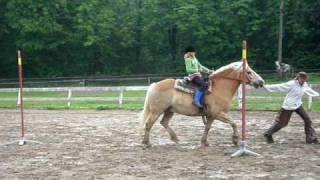 Western v Rajnochovicich 2