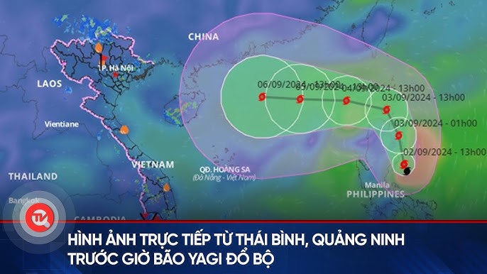 Image hình ảnh hình ảnh hình ảnh hình ảnh hình ảnh hình ảnh hình ảnh hình ảnh hình ảnh hình ảnh Đỗ Quang Nam - Hình ảnh trực tiếp từ Thái Bình, Quảng Ninh trước giờ bão Yagi đổ ...