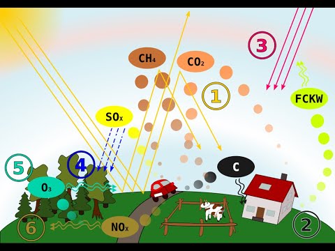 זום7 אקולוגיה - אוויר - פיזור סילוק ופירוק מזהמים, השפעת זיהום אוויר על האדם והסביבה