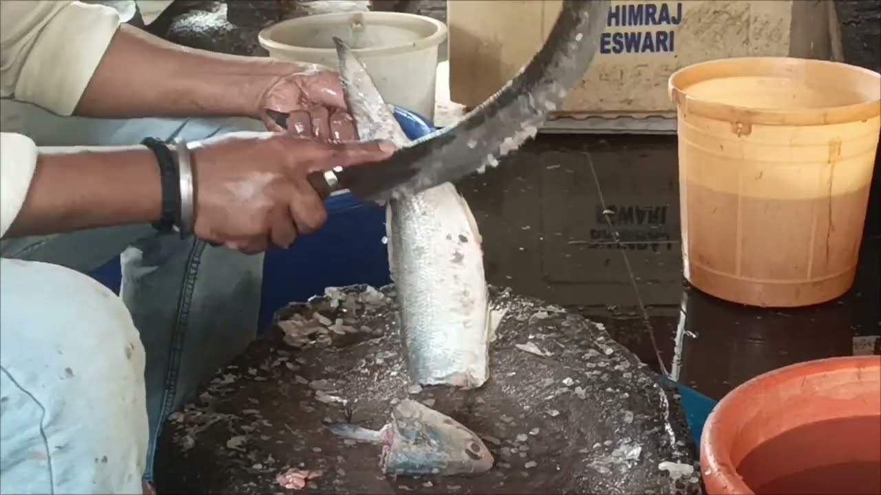 Ravas machali | rawas macchi | रावस मछली cutting | fillets Indian Salmon Prices in Malad Fish Market