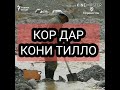 КОР ДАР Н ХОВАЛИНГ ШУГНОВ КОНИ ТИЛО !!!