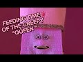 🔔ASMR 🌈VIRAL || FEEDING THE CREEPY QUEEN FACECOINBANK #facecoinbank #facebank #coins #asmr #live