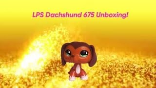 LPS Dachshund 675 Unboxing!