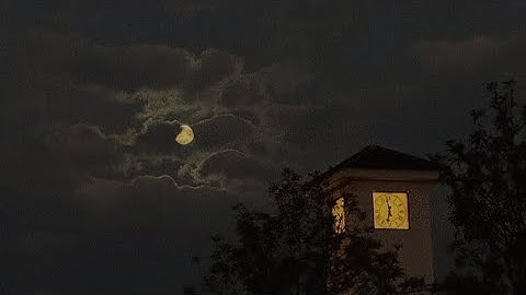 ما تيسر من سورة يونس | عبدالرحمن مسعد 🤍.