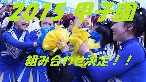高校野球 抽選 15 夏