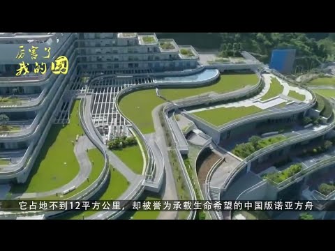 Amazing China《 国家基因库》