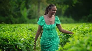 Gumaro Tea Plantation Promo