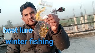 best lure for winter fishing screenshot 5