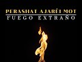 Perashat Ajharéi Mot - Kedoshim - Fuego extraño / ¿Por qué murieron los hijos de Aarón?
