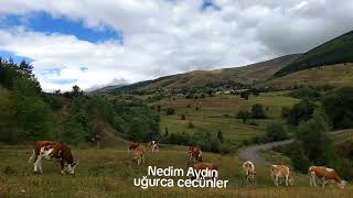 Ardahan Posof uğurca cecünler köyü 12 Eylül 2025