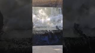 Grand Rapids Fish Ladder