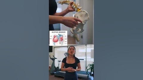 BEST Exercise for the Gluteus Minimus (according to EMG studies!) #physicaltherapy #gluteexercises