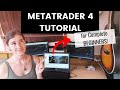 How to Trade FOREX Using Metatrader 4 PC for Beginners by Mindfully Trading