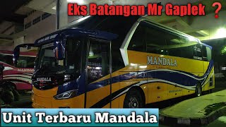 Download Lagu Bus Terbaru Mandala ll Body Unik \u0026 Langka ll Surabaya - Jogja - Bandung MP3