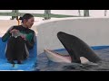 『鴨川シーワールド』シャチパフォーマンス♪終了後の風景④（2019/11/23）