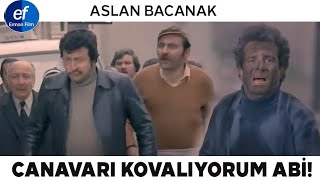 Aslan Bacanak Türk Filmi | Halim, Selim'i Fena Dövüyor!