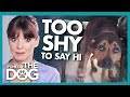 Incredibly Shy Dog Shocks Everyone When Training Gets Instant Results | It's Me or The Dog