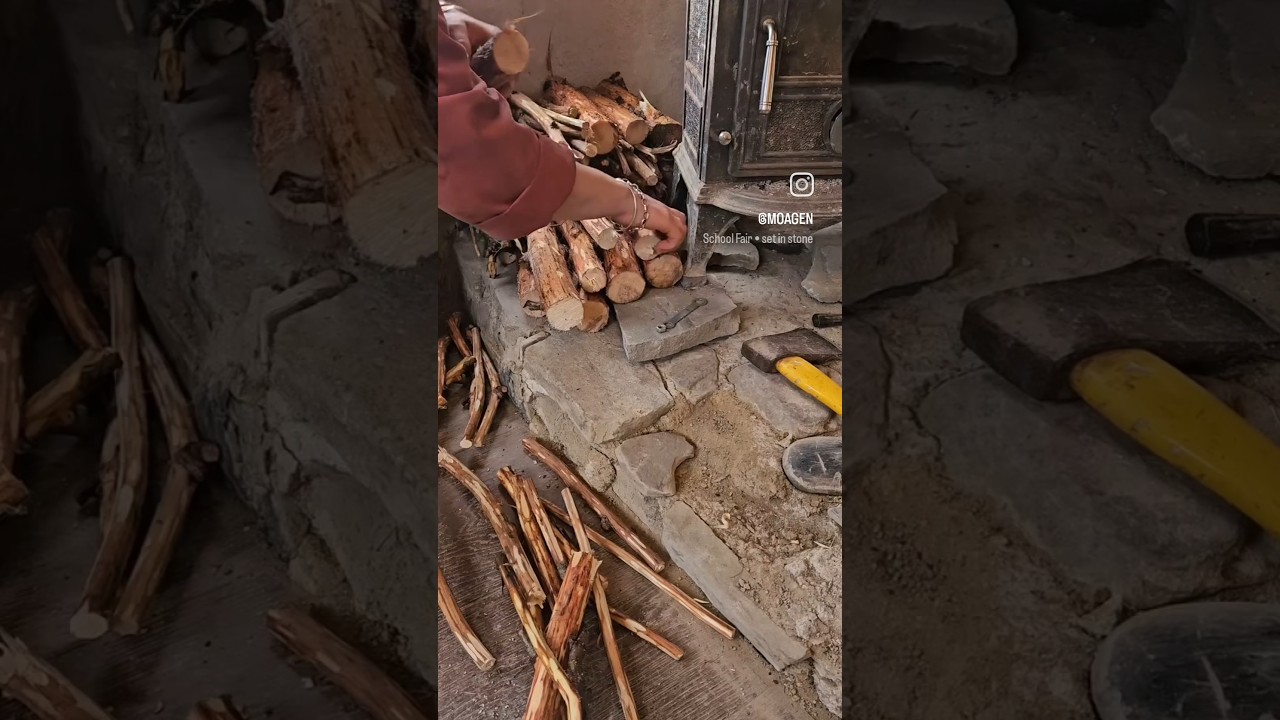 Deer Skin Diary 16 🦌 behind the scenes - the big clean up!