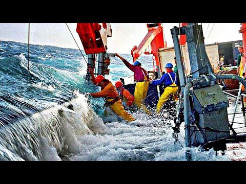 Video: Kebaikan Dan Keburukan Kerja Bermusim Di Laut