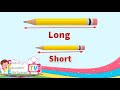 Long and Short || Comparing Lengths || Kindergarten Lessons || Math for Kids Episode 6.1