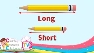 Long and Short || Comparing Lengths || Kindergarten Lessons || Math for Kids Episode 6.1 screenshot 5