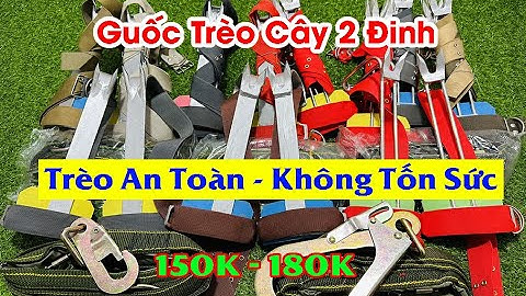 Giới Thiệu Các Mẫu Guốc Trèo Cây 2 Đinh Mới 2024 - Dụng Cụ Trèo Cây Đa Năng / Dây Đai An Toàn 150K