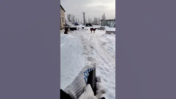 Распаковка ультразвукового свистка для собак!