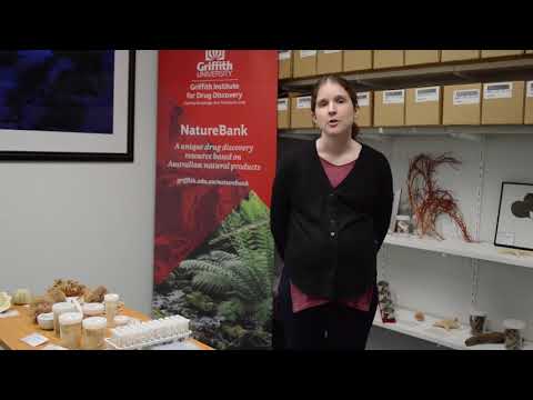 Video: Wat is de natuurlijke bron van sparteïne?